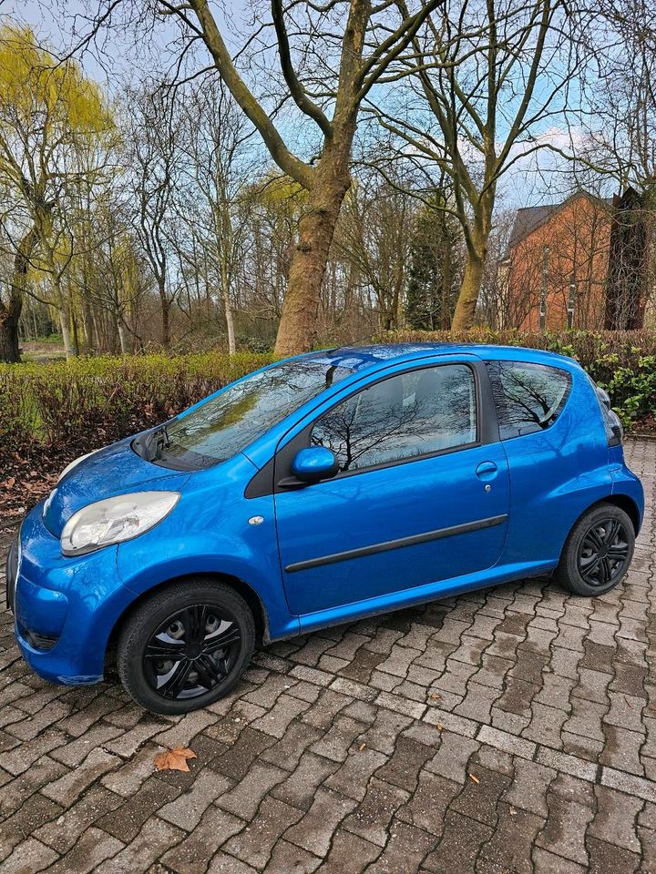 Citroën C1/Citroen C1 in Everswinkel