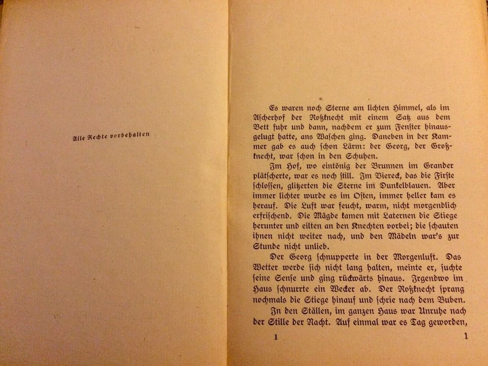 Liebe Erde Roman von Franz Hornstein 1919 in Köln