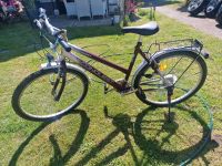 26" Fahrrad Mountainbike Brandenburg - Groß Köris Vorschau