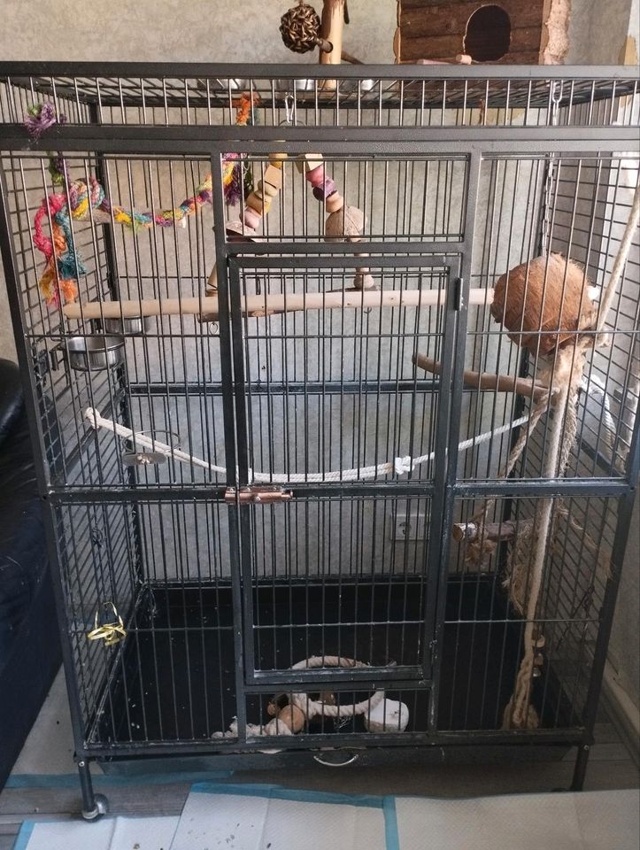 Papagei/Nymphensittich Käfig in Bergkamen