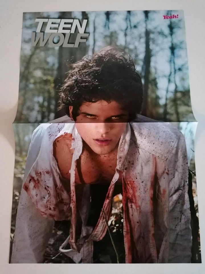 Teen Wolf Poster Plakat Serie Film Bravo Yeah in Klettbach