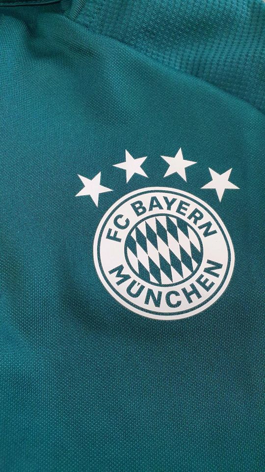 FC Bayern München Shirt Langarmshirt dünner Pullover Gr. 164 grün in Rahden