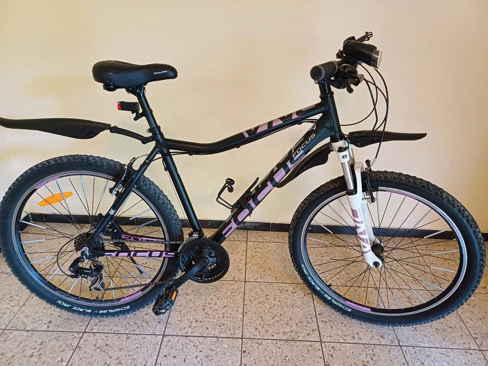 Fahrrad Focus XL in Pforzheim