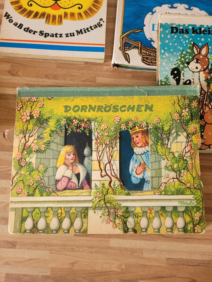 DDR Kinderbuch Konvolut Pop-up-Buch 6 Stück in Wismar