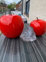 Traumhaft schöne Hochglanz Design Äpfel ,klein und groß ! Nordrhein-Westfalen - Moers Vorschau