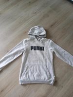 Sweatshirt Puma Gr.176 Niedersachsen - Bovenden Vorschau