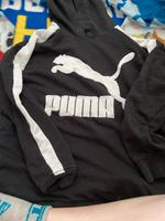 Puma Pullover Sachsen-Anhalt - Magdeburg Vorschau
