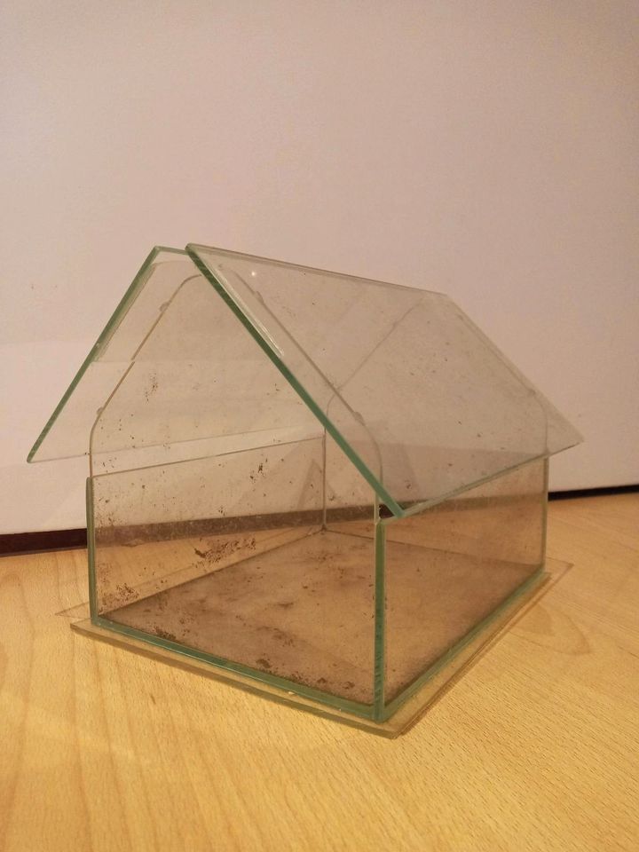 Mini Glashaus, Dekohaus, Pflanzenterrarium, Gewächshaus, 19x22x26 in Berlin