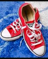 Converse Chucks/ Gr. 37,5 /Rot Hessen - Lollar Vorschau