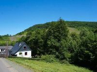 Exklusives Baugrundstück Traben-Trarbach Rheinland-Pfalz - Traben-Trarbach Vorschau