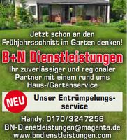 Frühjahrsschnitt im Garten, regelmäßige Betreuung usw. Bayern - Wiggensbach Vorschau