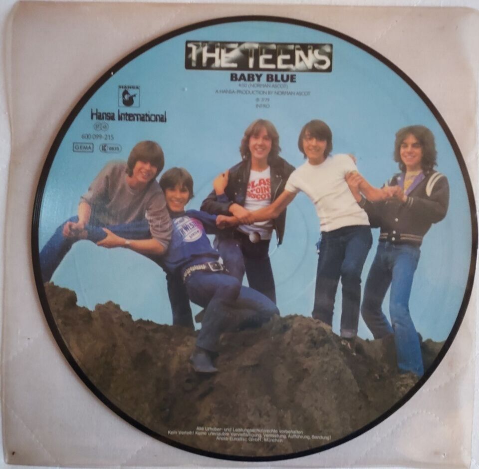 The Teens Baby Blue Picture maxi single VG in Hamburg