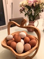 Frische Bio Eier in Bramsche Niedersachsen - Bramsche Vorschau