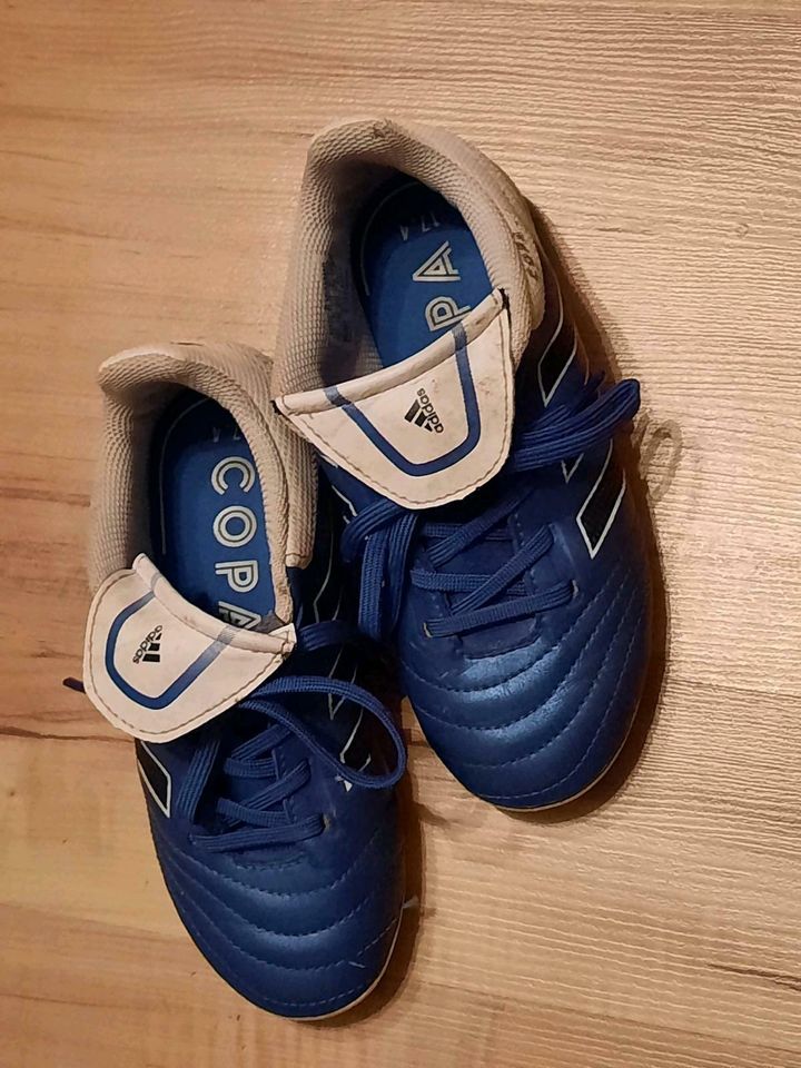 Fußballschuhe, Gr. 29, Sportschuhe in Roding