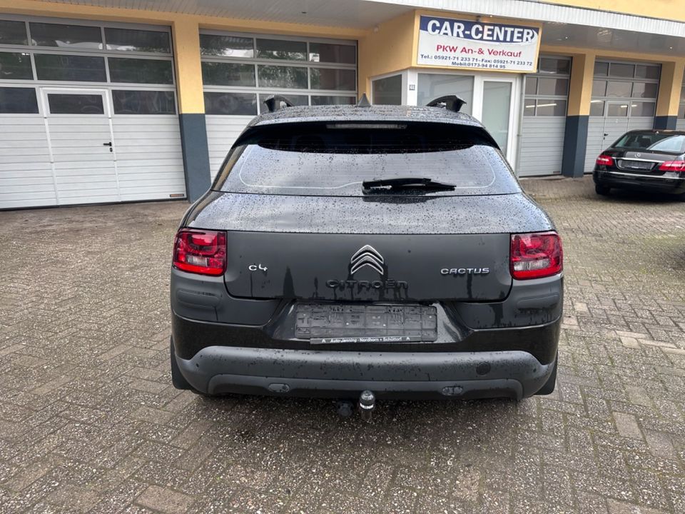Citroën C4 Cactus Feel in Nordhorn
