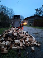 Kaminholz Brennholz Feuerholz Buche Esche Hartholz Mecklenburg-Vorpommern - Alt Tellin Vorschau