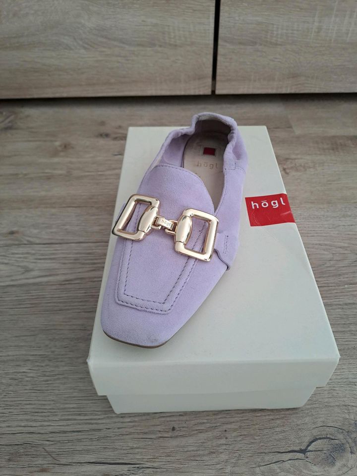 HÖGL Loafer Schuhe. Leder. Lila. Größe 36 in Dresden