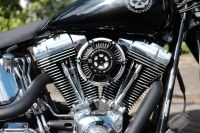 Harley Davidson Fat Boy FLSTF Custom Hessen - Eschborn Vorschau