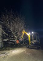 Fällgreifer Baumfällung Forstarbeiten Bayern - Scheßlitz Vorschau