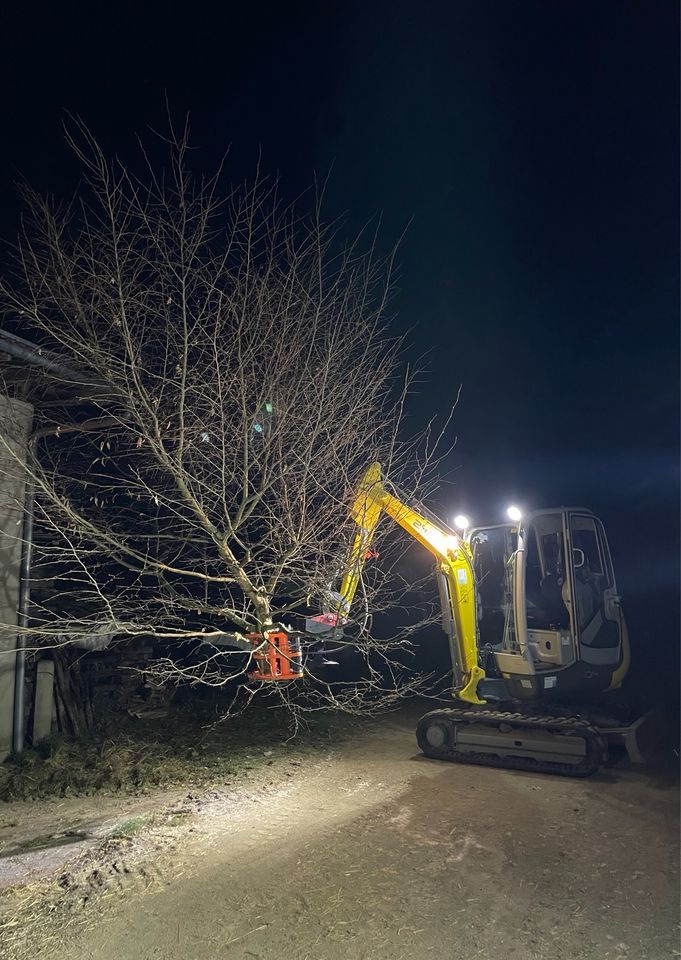 Fällgreifer Baumfällung Forstarbeiten in Scheßlitz