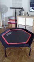 Mini Trampolin mit Haltegriff Aachen - Aachen-Mitte Vorschau