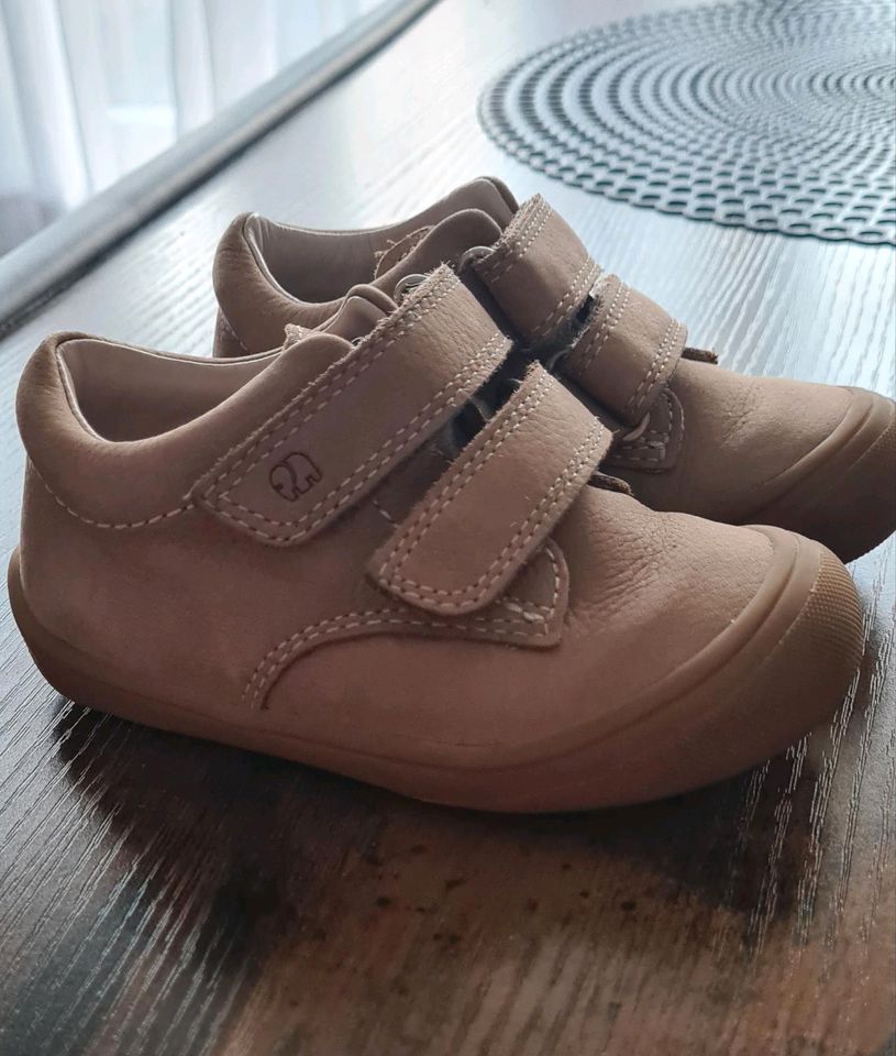 Kinderlauflernschuhe Elefanten gr 21 in Bielefeld