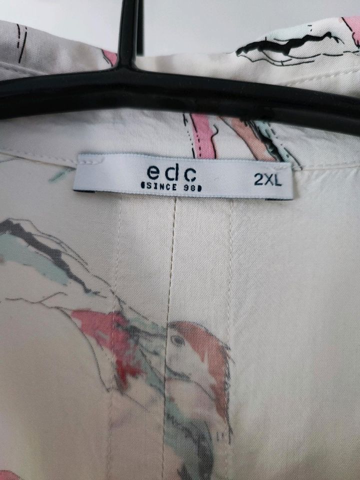 Sommerliche Bluse 2xl in Bad Sassendorf