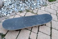 Skateboard mit passender Tragetasche Nordrhein-Westfalen - Euskirchen Vorschau