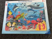 Ravensburger Rahmenpuzzel 30 Teile 4+ unter dem Meer Nordrhein-Westfalen - Vettweiß Vorschau