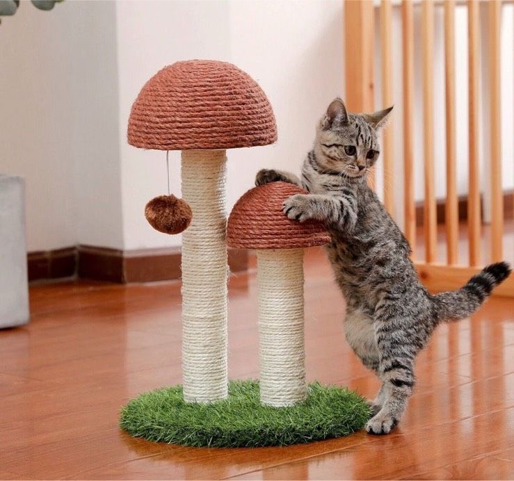 Kratzbaum Pilz Katzenbaum Katzenspielzeug Katzenmöbel Neu in Gütersloh