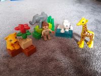 Lego Duplo Zoo Schleswig-Holstein - Ahrensburg Vorschau