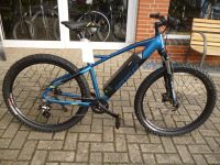 NEU !! Prophete 27.5" Graveler  MTB- Disc  ZWEIRAD HERZBERG Nordrhein-Westfalen - Tecklenburg Vorschau