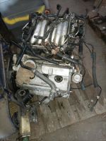 Audi A6 4B C5 Avant Benzin Motor 2,4 Liter in Teilen zu verkaufen Nordrhein-Westfalen - Kamen Vorschau