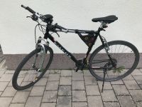 FAHRRAD FOCUS Herren- / oder Jugend-FAHRRAD 28 Zoll Bayern - Auerbach in der Oberpfalz Vorschau