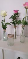 Kleine Flaschen Gläser Vasen Niedersachsen - Dörverden Vorschau
