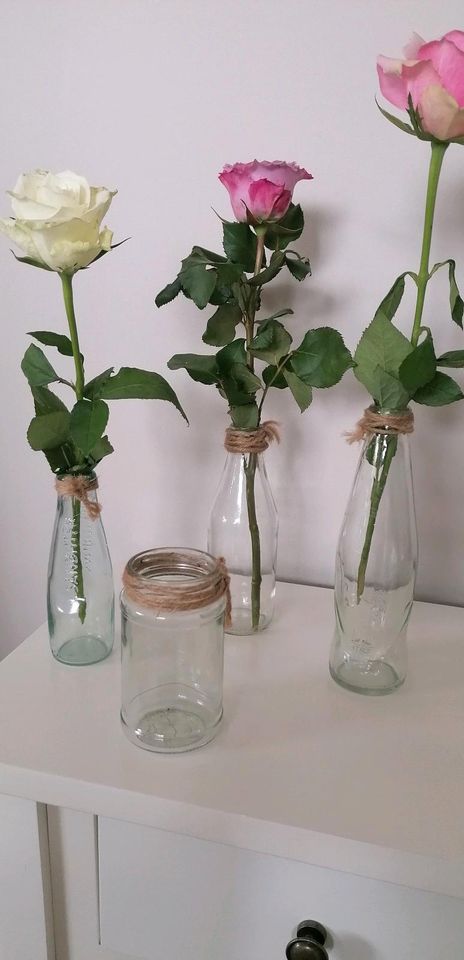 Kleine Flaschen Gläser Vasen in Dörverden