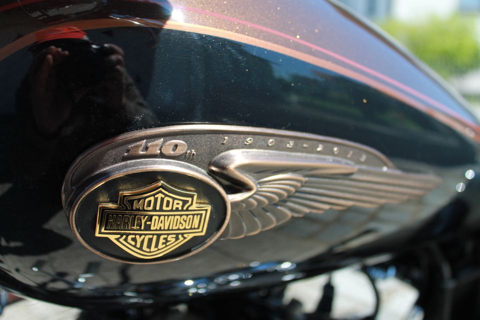 2. Hand Harley Davidson Sportster 1200 Custom Anniversary 110 th in Höhenberg i. T.
