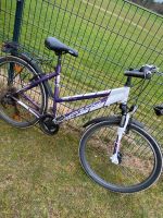 Mädchen Fahrrad Baden-Württemberg - Kißlegg Vorschau