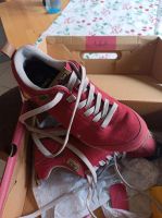 CMP Elettra Low Wanderschuhe Farbe Azalea Gr. 38 Nordrhein-Westfalen - Gescher Vorschau