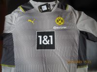 BVB 09 Borussia Dortmund Evonik Puma Trikot Grau NEU mit Etikett Nordrhein-Westfalen - Gelsenkirchen Vorschau