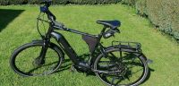 Giant Any Tour E-Bike  XL Rahmen Hessen - Eichenzell Vorschau