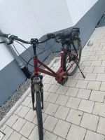 Damenfahrrad Baden-Württemberg - Kehl Vorschau