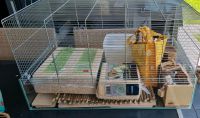 Hamsterkäfig + Streu & Spielzeuge zu verkaufen Niedersachsen - Rhauderfehn Vorschau