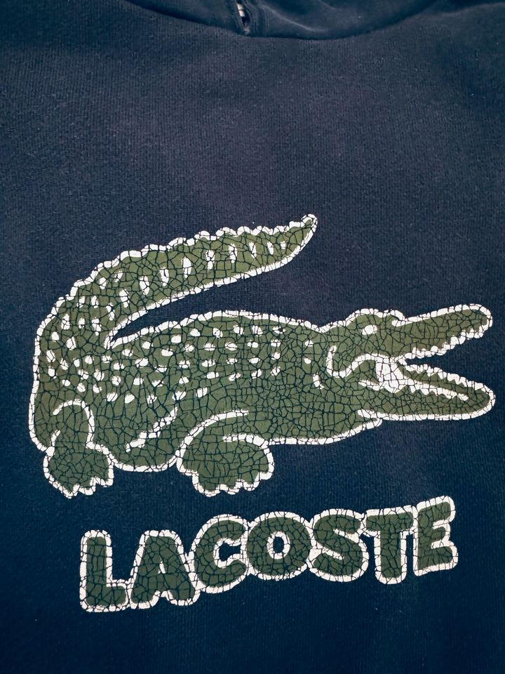 Lacoste Hoodie Gr. 176 in Essen