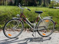 Greif Damenfahrrad 26 Zoll Bayern - Wirsberg Vorschau