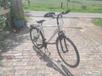 28er Herren Fahrrad KS CYCLING Niedersachsen - Friedeburg Vorschau