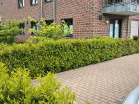 zentrale moderne Wohnung mit Terrasse und mögl. Gartennutzung Niedersachsen - Ankum Vorschau