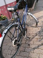 Damenfahrrad 28 Zoll Hessen - Nidda Vorschau