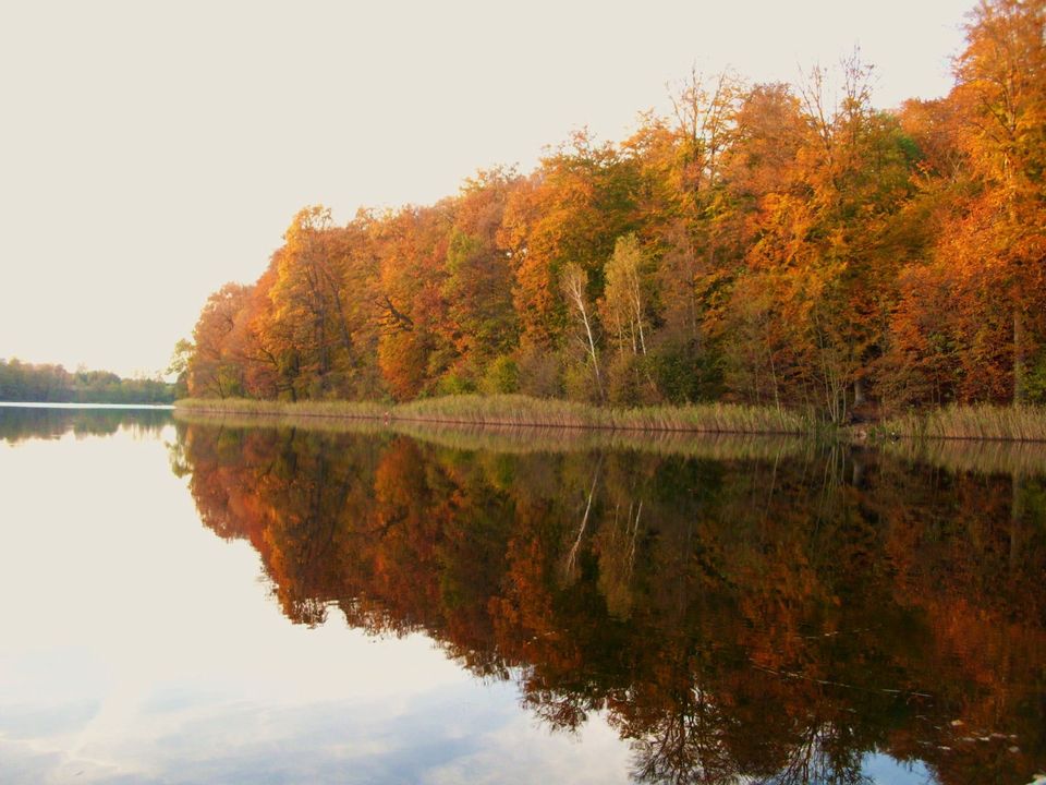 Sonderangebot April Ferienhaus am See in Polen,Ruhe,Angeln,Boote in Frankfurt (Oder)