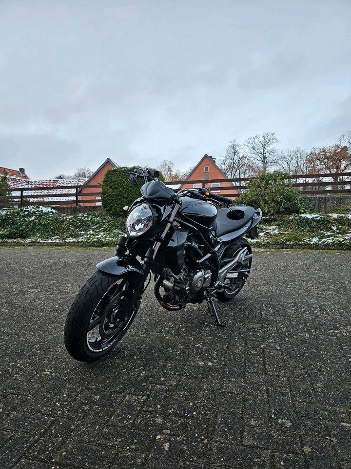 Suzuki Gladius SFV 650 ABS in Marklohe